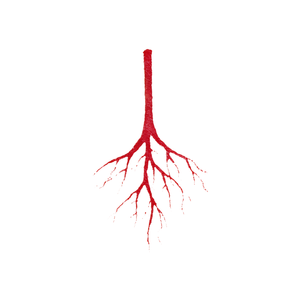 Gate of the Root